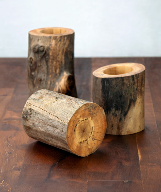 Portavelas de tronco | Enhavi