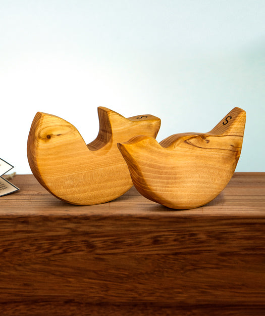 Juguetes de Madera | Birdo