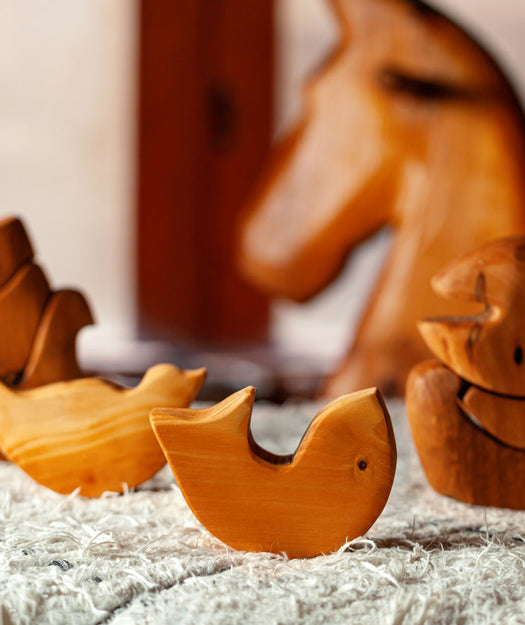 Juguetes de Madera | Birdo