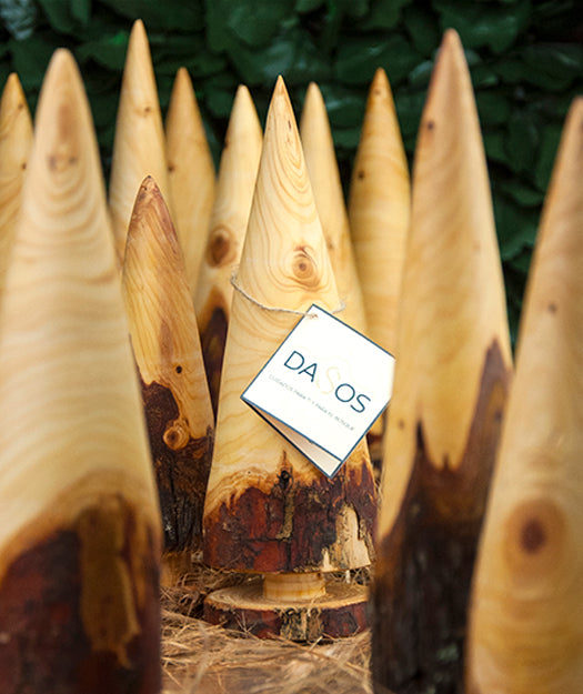 Árbol decorativo | Konuso - Dasos productos naturales