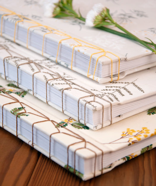 Álbum de fotos | Senfina