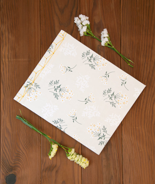 Álbum de fotos | Senfina