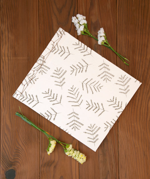 Álbum de fotos | Senfina