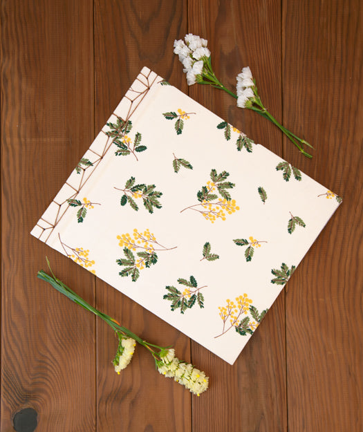 Álbum de fotos | Senfina