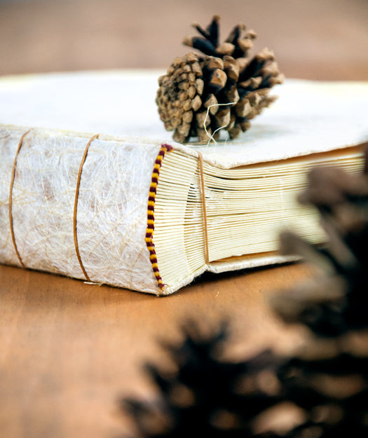 Álbum de fotos grande | Memoro